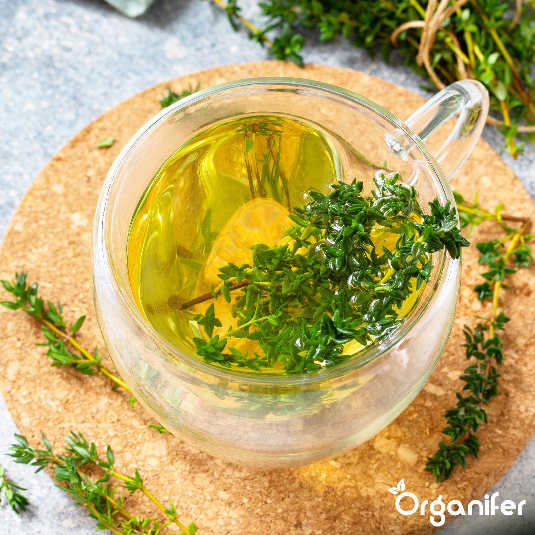organifer-thyme-liquid-fertiliser