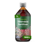 organifer-tillandsia-liquid-fertiliser