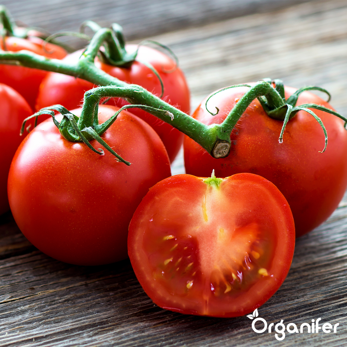 Organifer Tomato Seed Pack - 13 Varieties 8719958993396 9