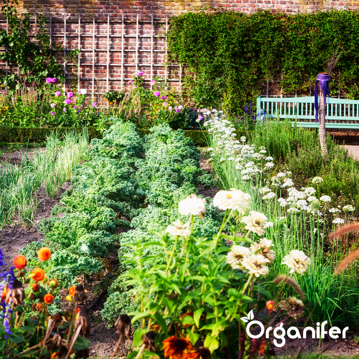 Organifer Universal Fertiliser All-In-One Liquid (10 l - for 1000 l) 8719958993631 8