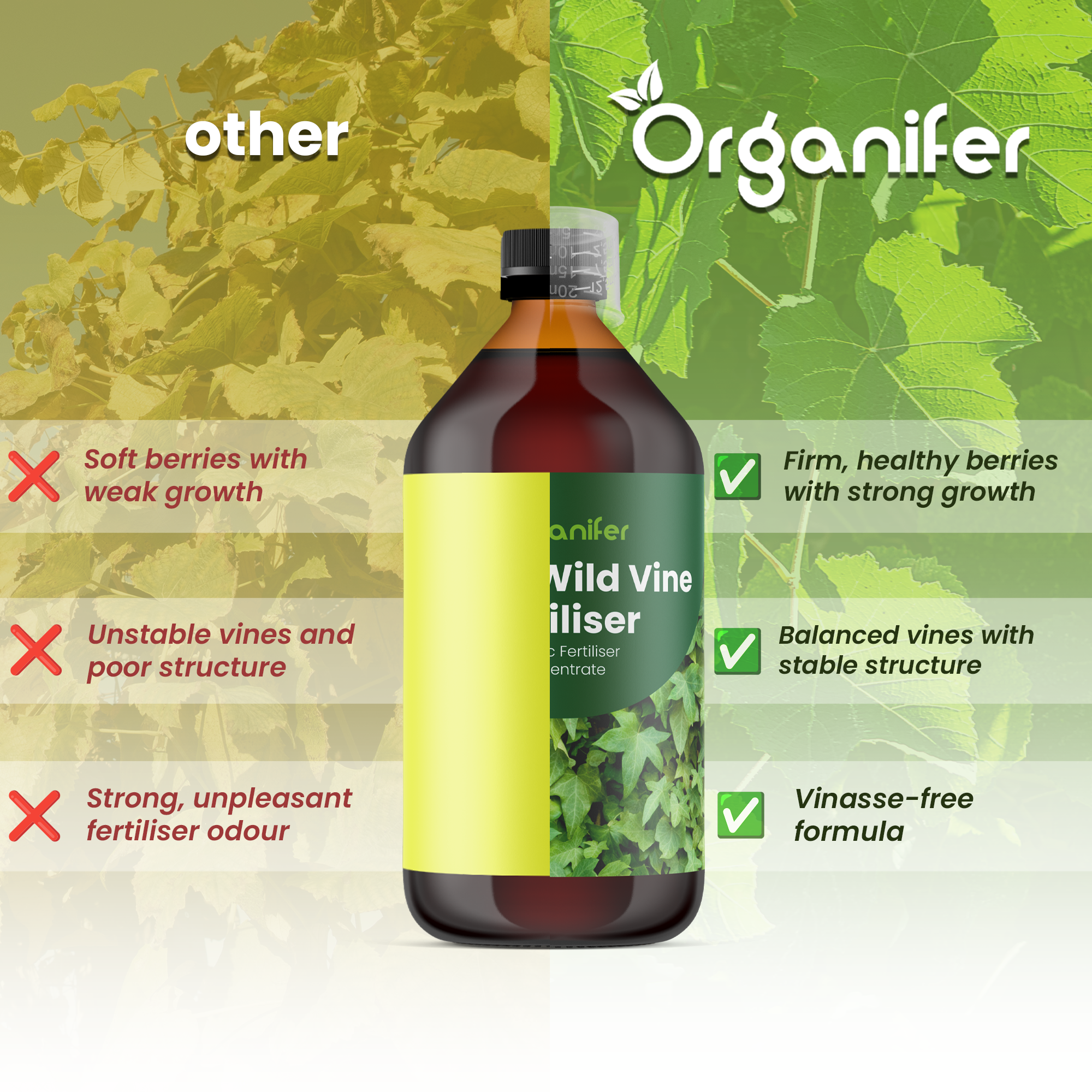 organifer-vine_comparison_english