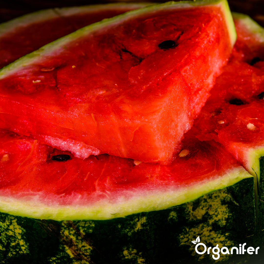 organifer-watermelon-liquid-fertiliser