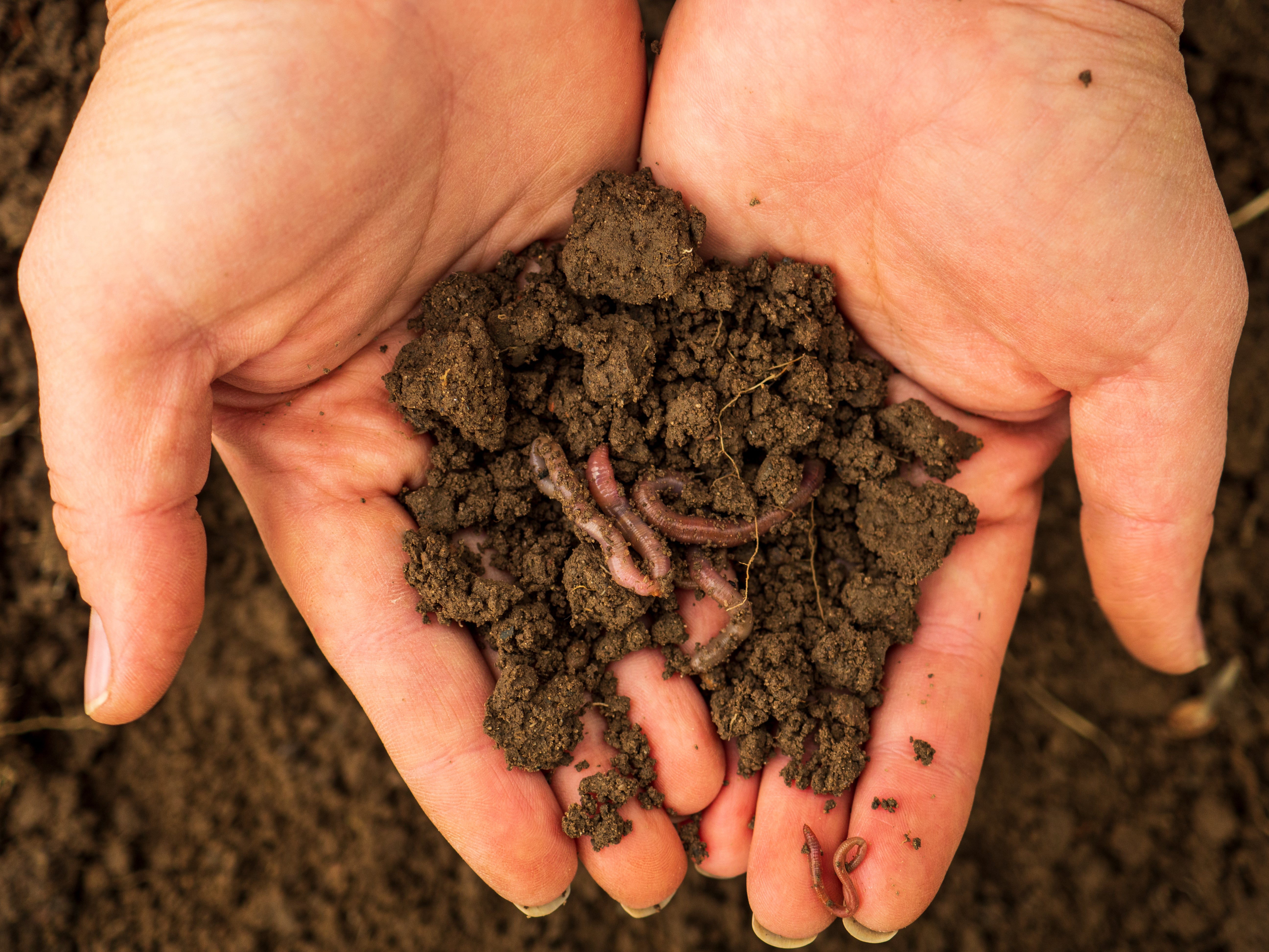 Boosts Soil Life Naturally