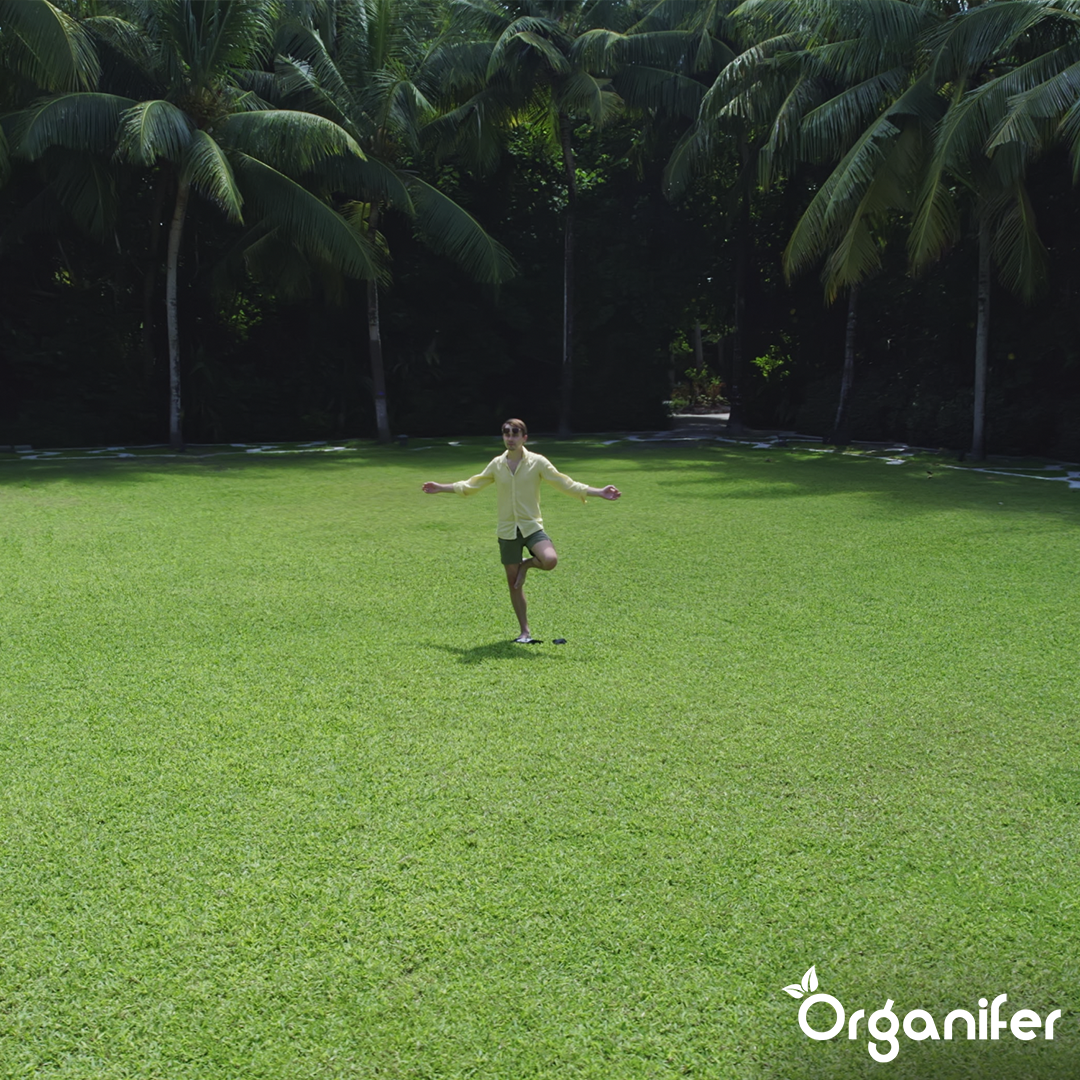 Organifer Yucca - Wetting Agent - 5 L for 50,000 m2 8719958992610 9
