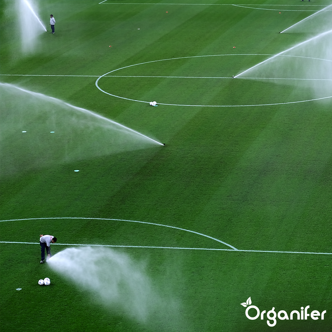 Organifer Yucca - Wetting Agent - 500 ml for 5000 m2 8719958992948 11