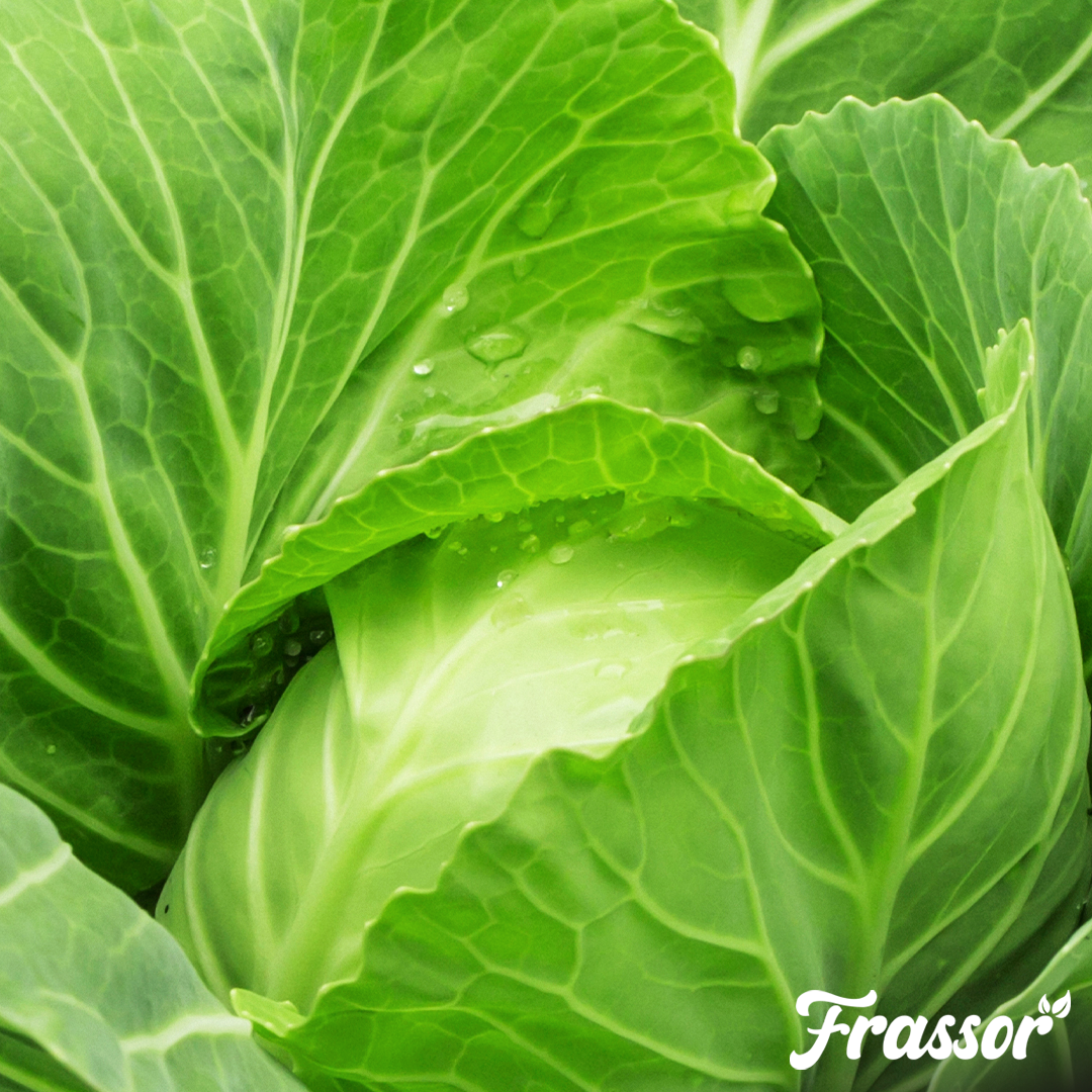 organifer_frassor-leaf_vital