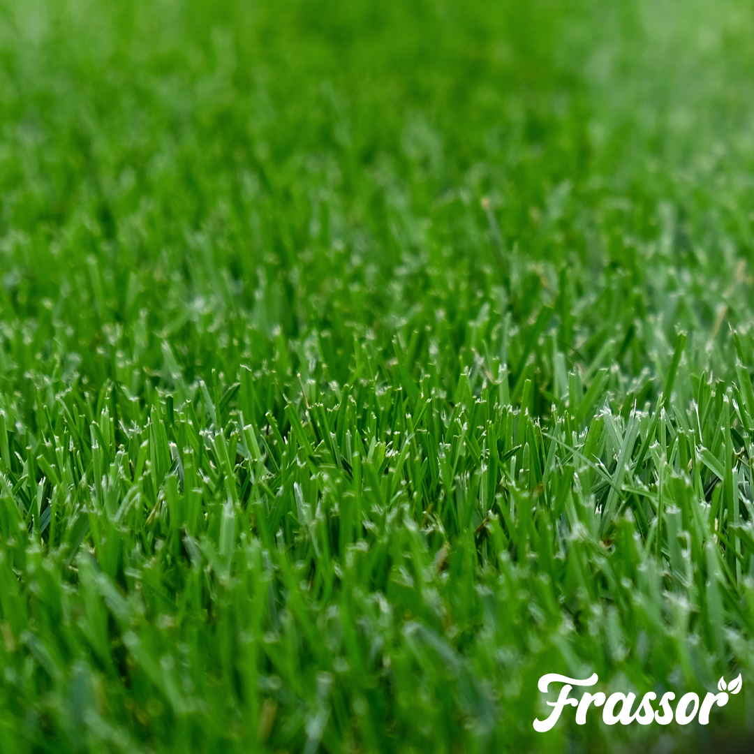 organifer_frassor_grass_vital_concentrate