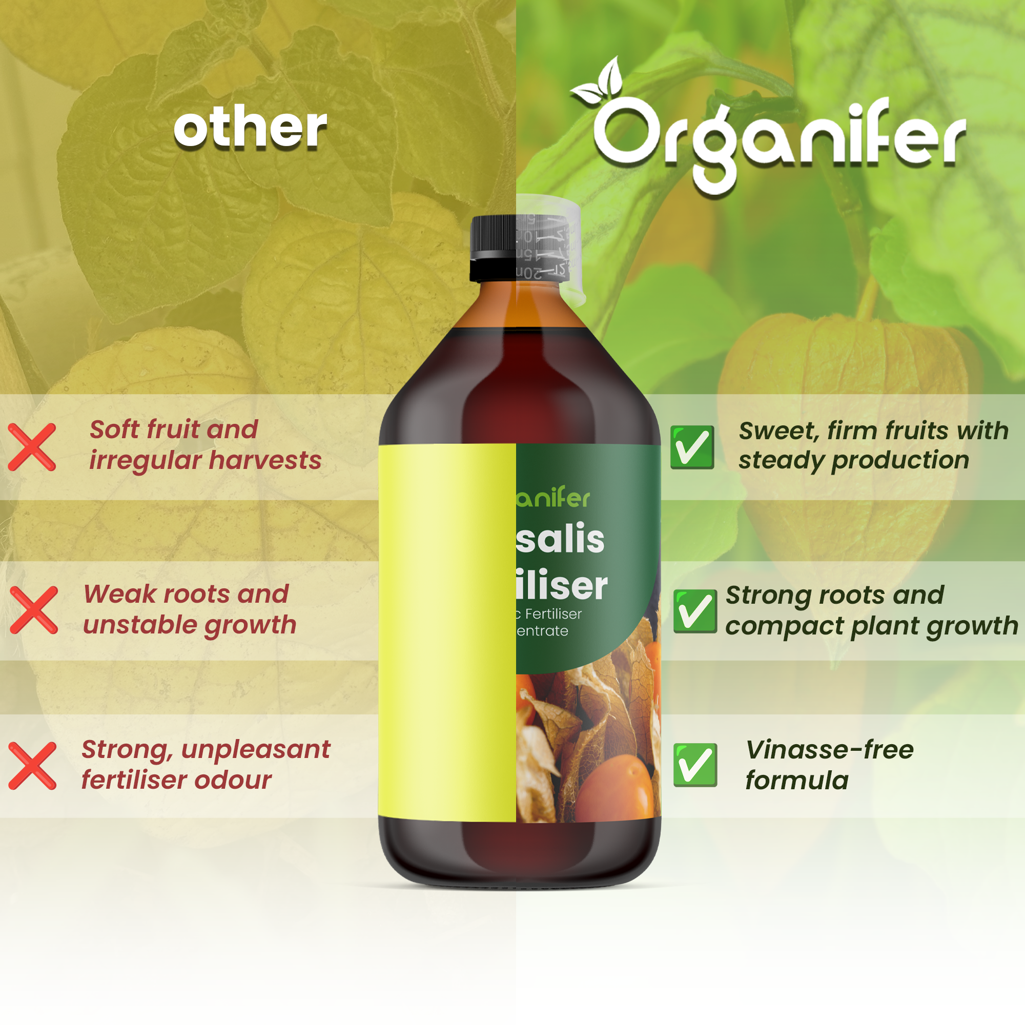 Physalis Liquid Fertiliser- 10 liters