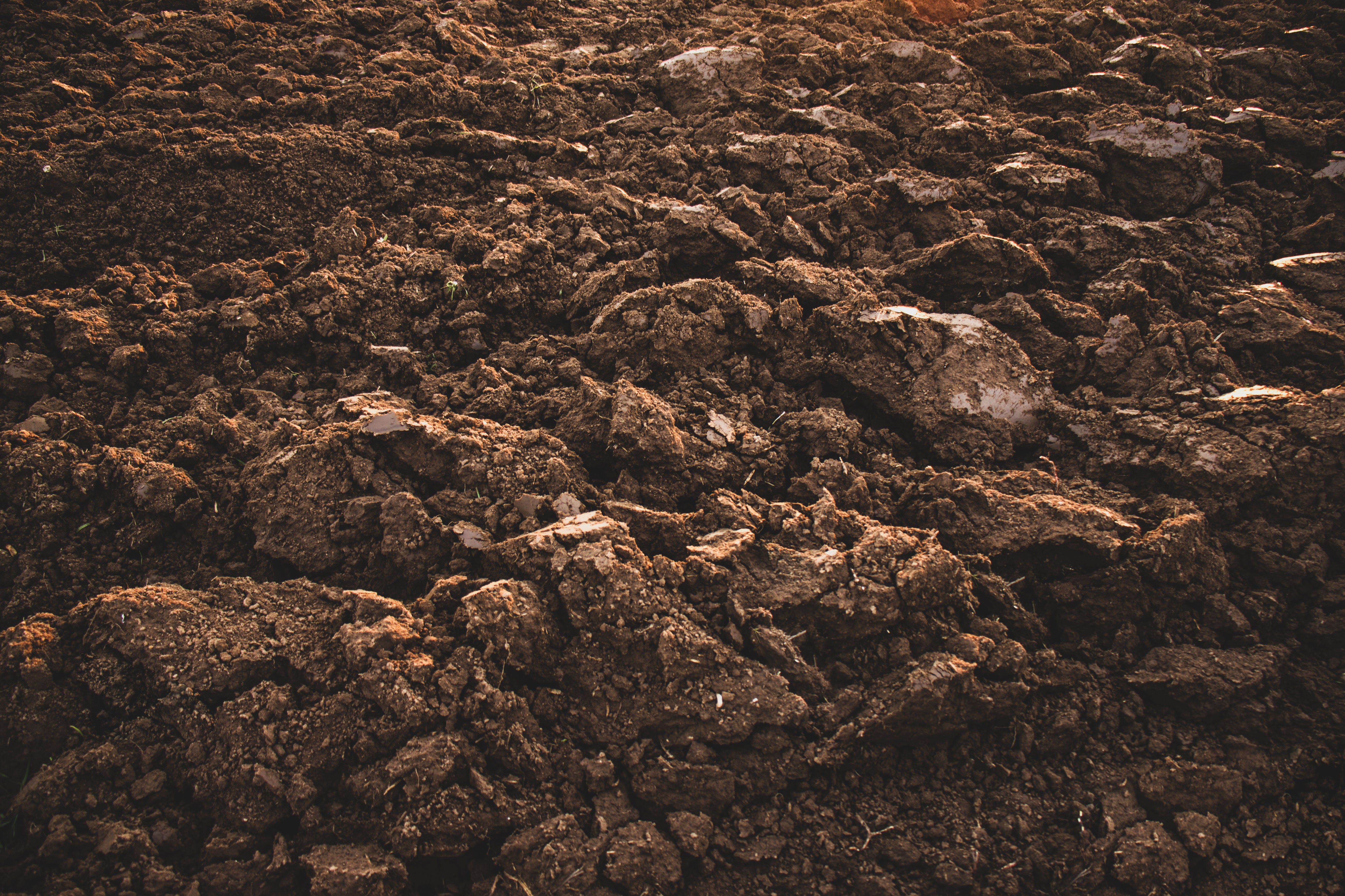 Improves Soil Structure & Humus Stability