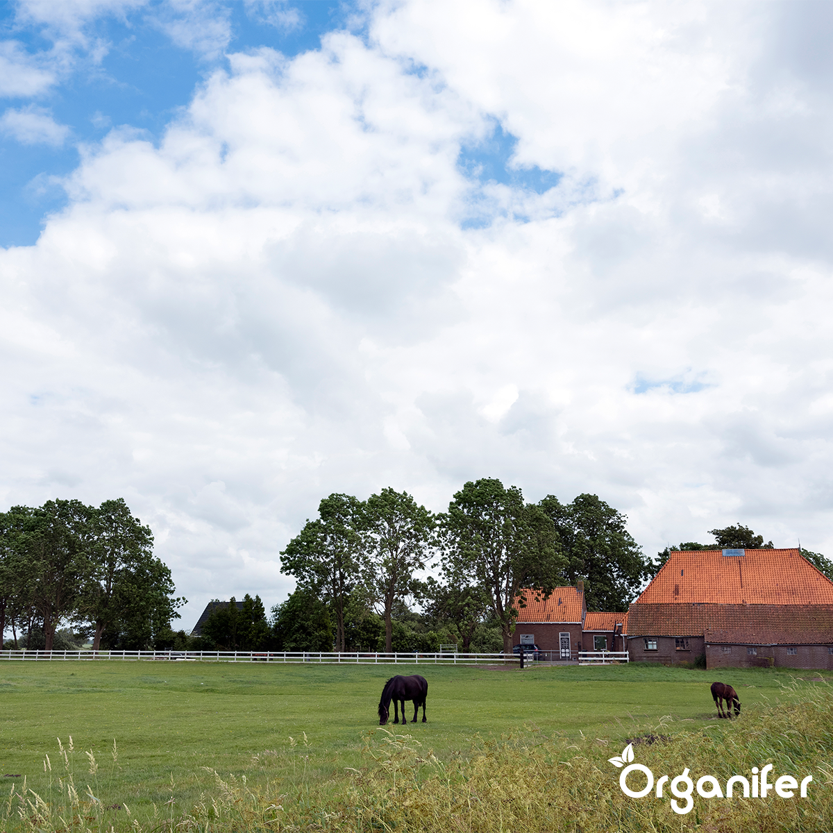 Sušený kravský hnůj (Big Bag 500 litrů - pro 500 m2)