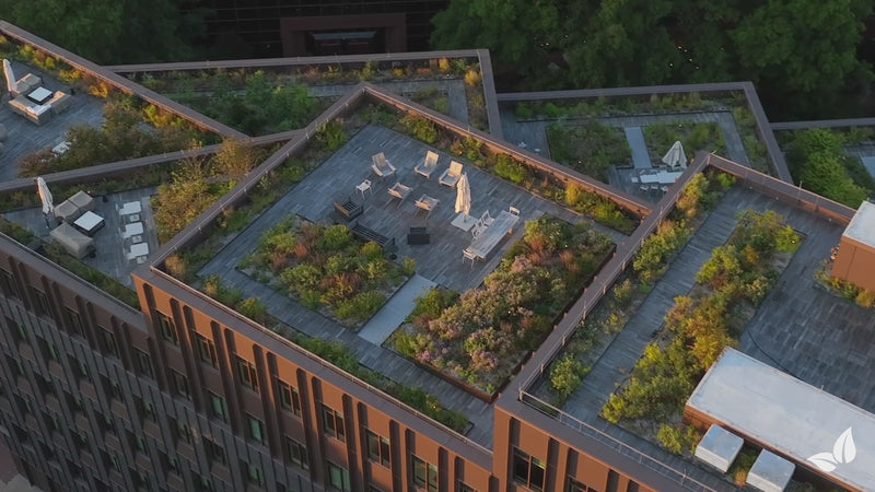 organifer_sedum_green_roof_fertilizer