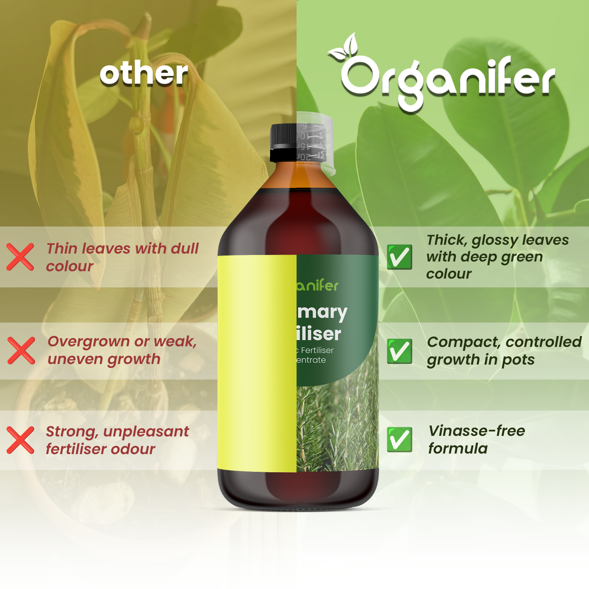 organifer-rubber-tree-liquid-fertiliser-comparison