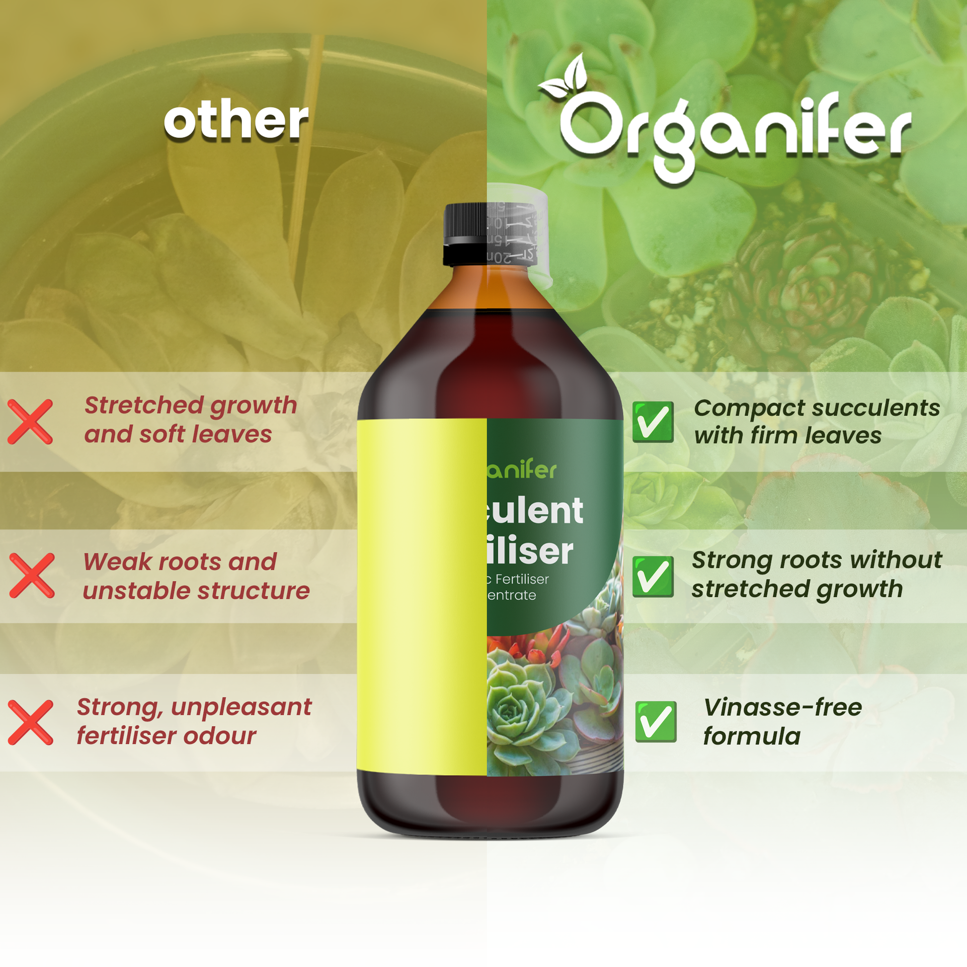organifer-succulenti-liquid-fertiliser-succulent_comparison_