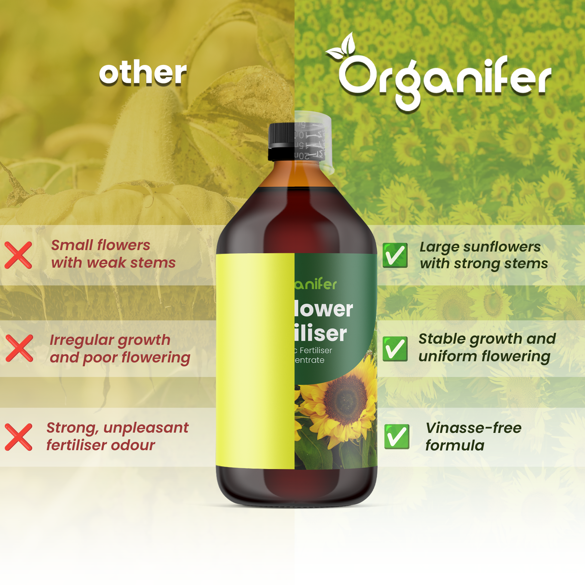 sunflower_before_after_english-comparison