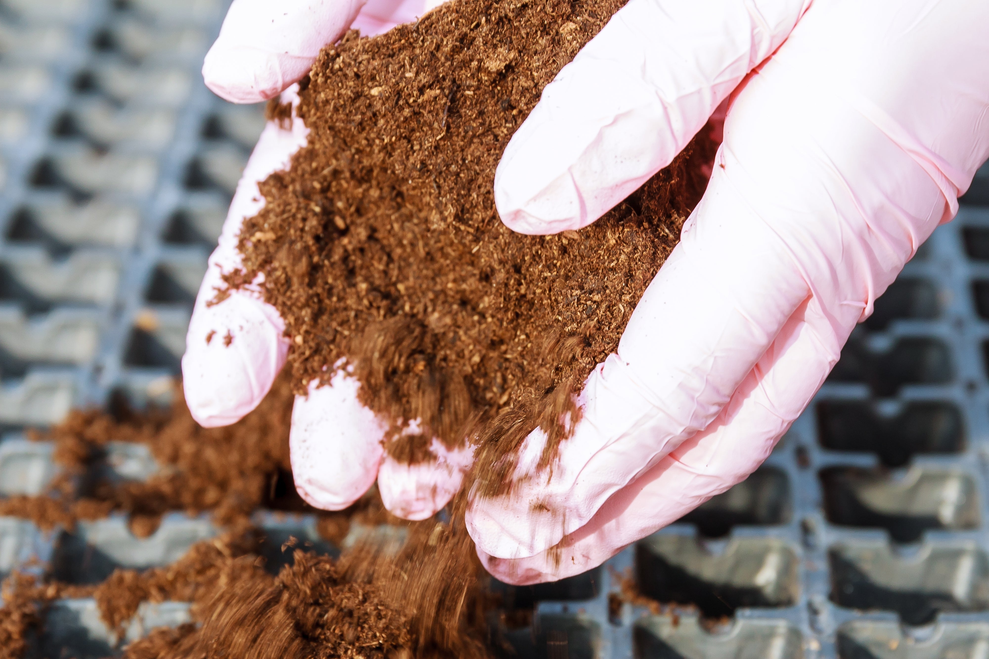 Expands into Light, Airy Potting Soil